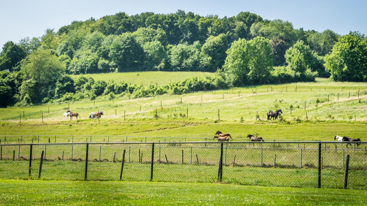 Panorama Sousberg B&B en appartementen Schin op Geul Exteriör bild